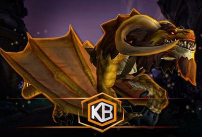 Buy WoW Cliffside Wylderdrake Mount Boost
