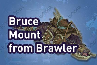 Bruce Mount from Brawler's Guild Boost