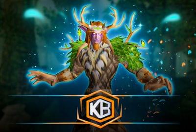 WoW Classic Raid Ready Bundle